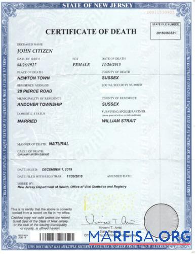 Downloadable USA New Jersey department of health death certificate example